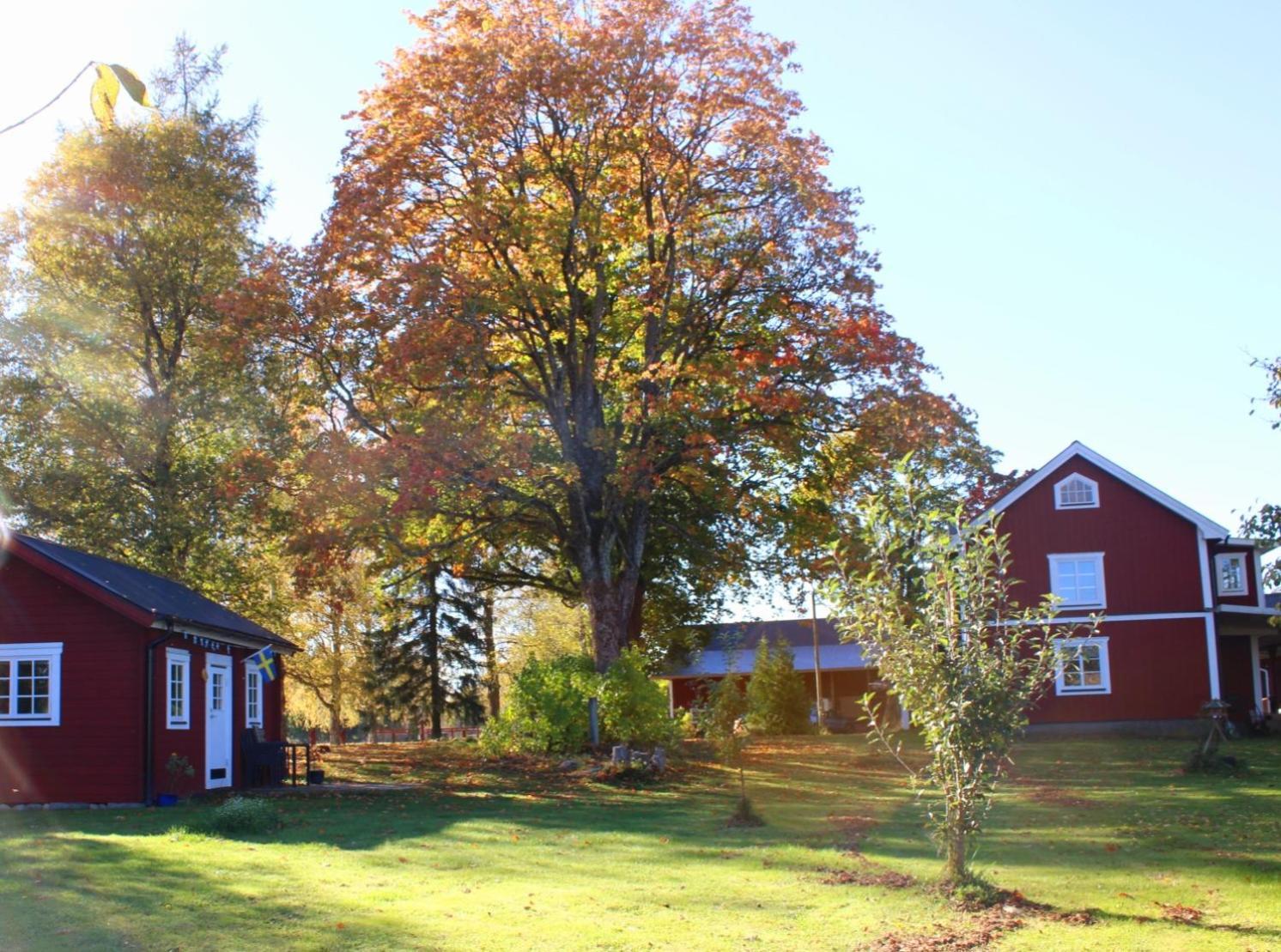 Stuga Gasstorp Hova Exterior foto