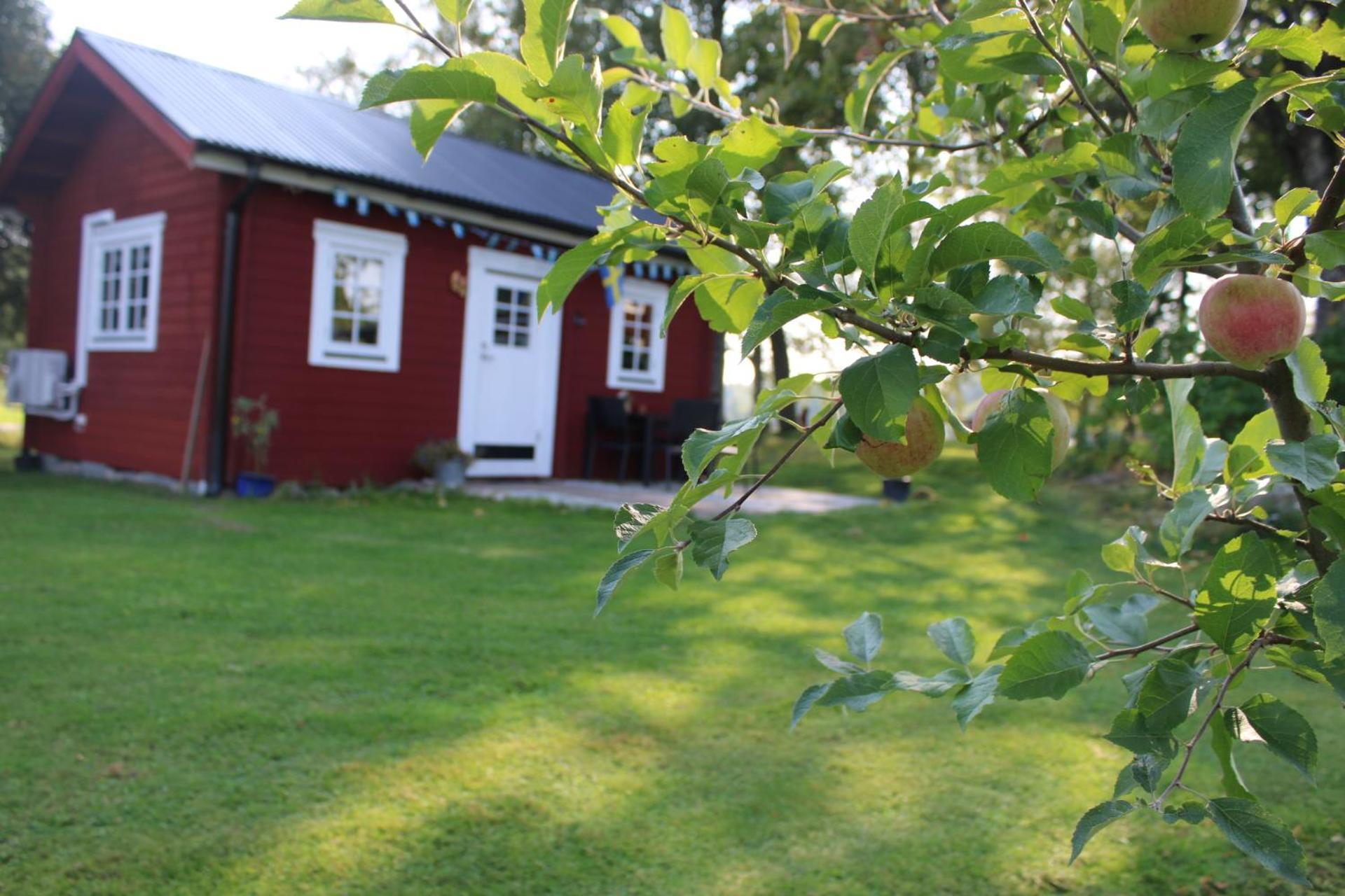 Stuga Gasstorp Hova Exterior foto
